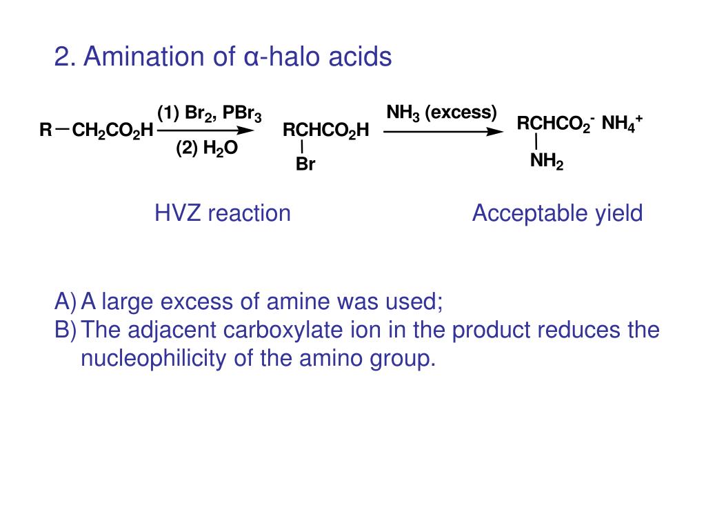 PPT Chapter 18 Amino Acids, Peptides, and Proteins ( ???????????????????????????