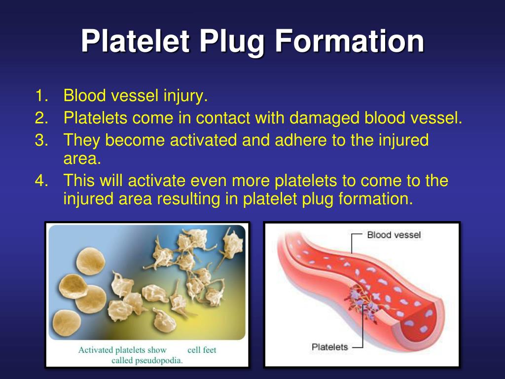 PPT PLATELETS (PLT) Thrombocytes PowerPoint Presentation, free
