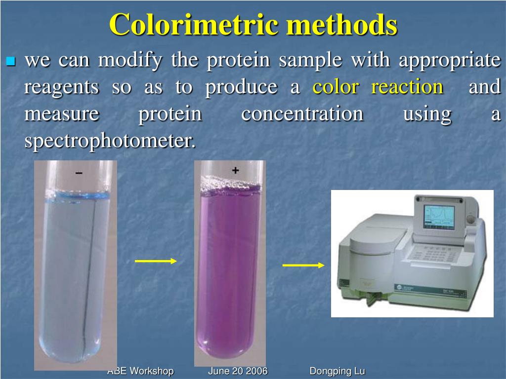 PPT Isolation and quantification of plant total protein PowerPoint