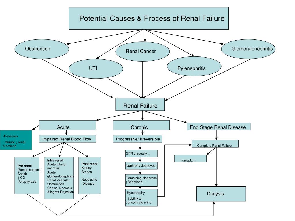 Urinary tract infection (UTI) Diagnosis and treatment Mayo Clinic