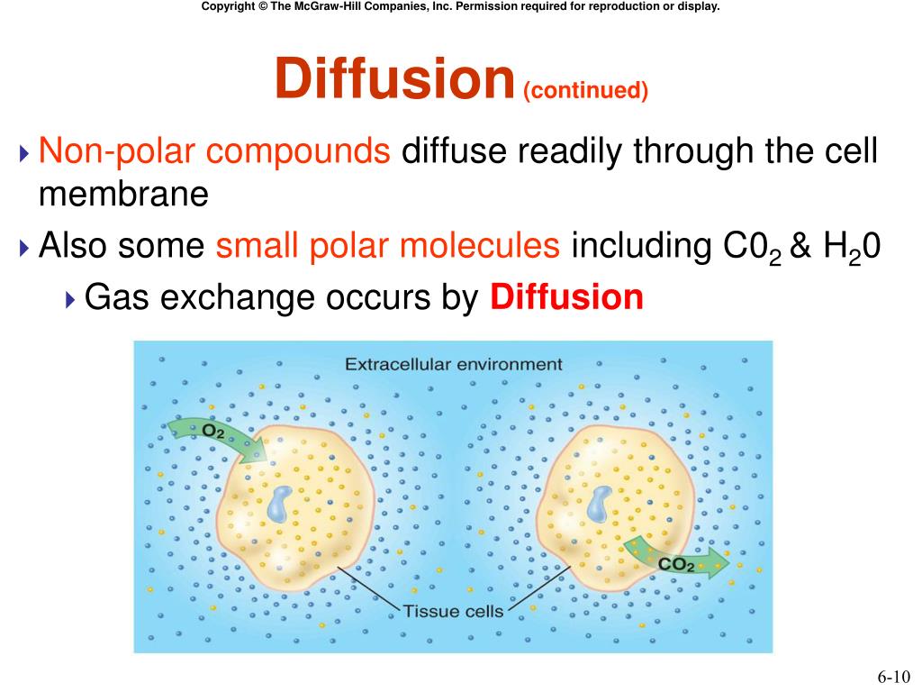 PPT Chapter 6 Interaction Between Cells & Extracellular Environment