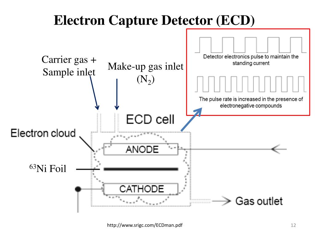 PPT Detection of polychlorinated biphenyls (PCBs) by Gas