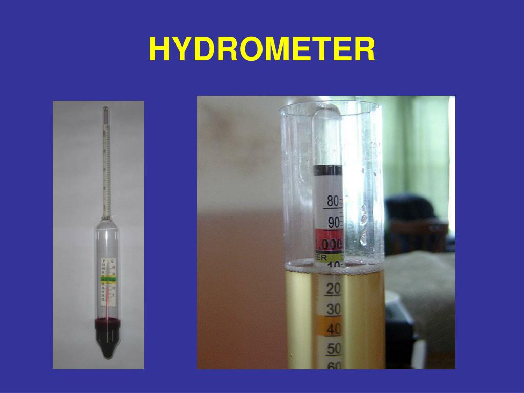 PPT SALTWATER / BRACKISHWATER AQ [objectives] Chapter 14 PowerPoint Presentation ID6653336