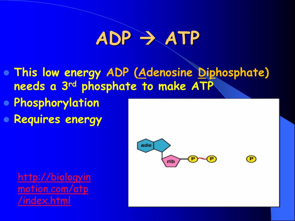 PPT Heart Rate PowerPoint Presentation, free download ID6661621