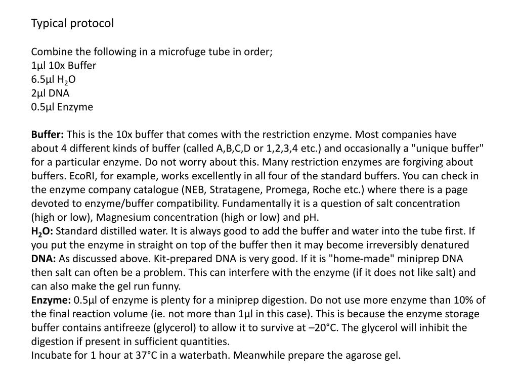 PPT Restriction enzyme digestion of DNA (basic method) PowerPoint