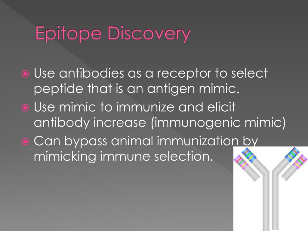 PPT Phage Display PowerPoint Presentation, free download ID6661986