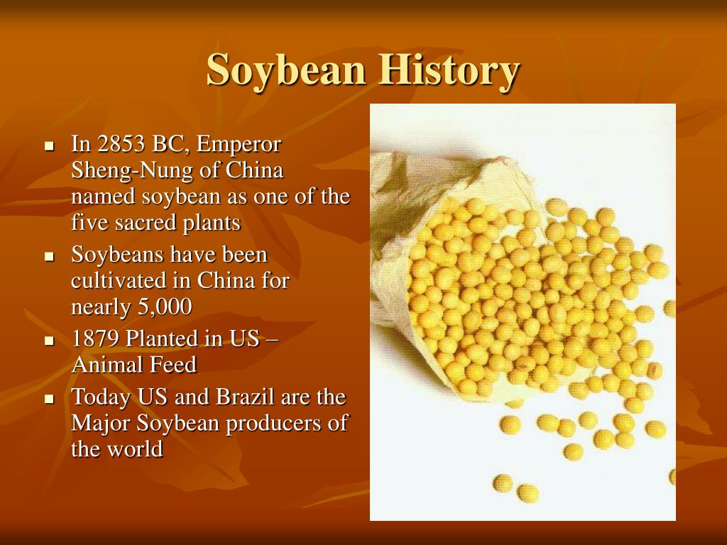 PPT Soybean Vegetable Patties PowerPoint Presentation, free download