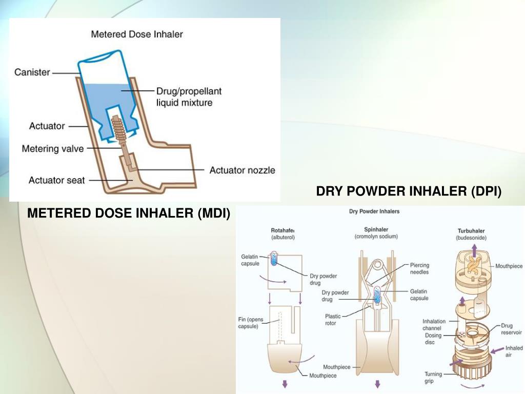 PPT General Pharmacological Principles PowerPoint Presentation, free download ID6667113
