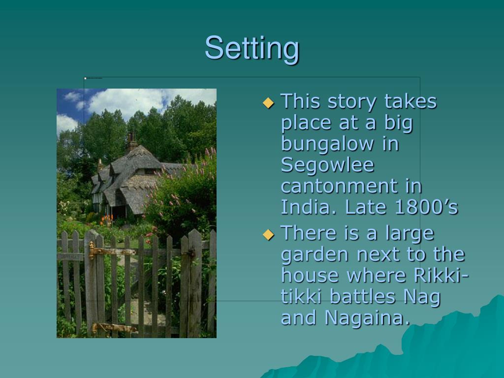 PPT Rikkitikkitavi PowerPoint Presentation, free download ID6669632