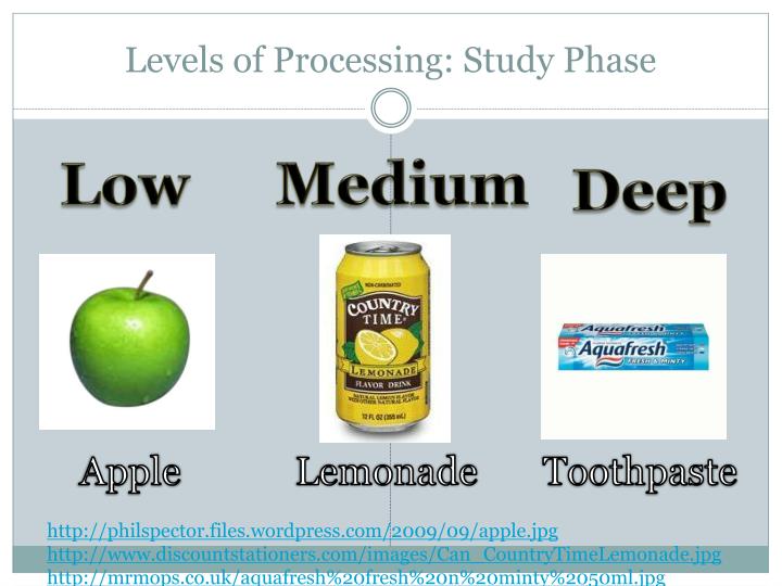 PPT Levels of Processing Effects of Pictures and Age on Word
