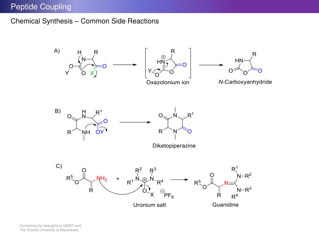PPT Peptide Coupling PowerPoint Presentation, free download ID6671518