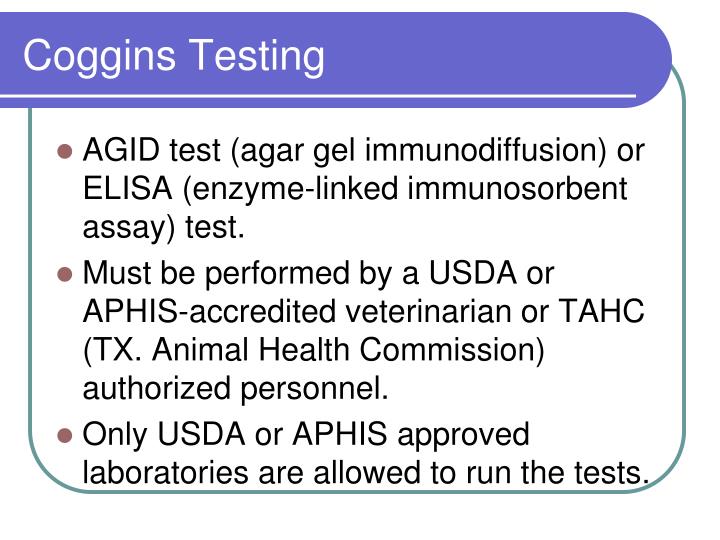 PPT EIA PowerPoint Presentation ID6674841