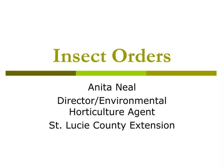 PPT Insect Orders PowerPoint Presentation, free download ID6677250