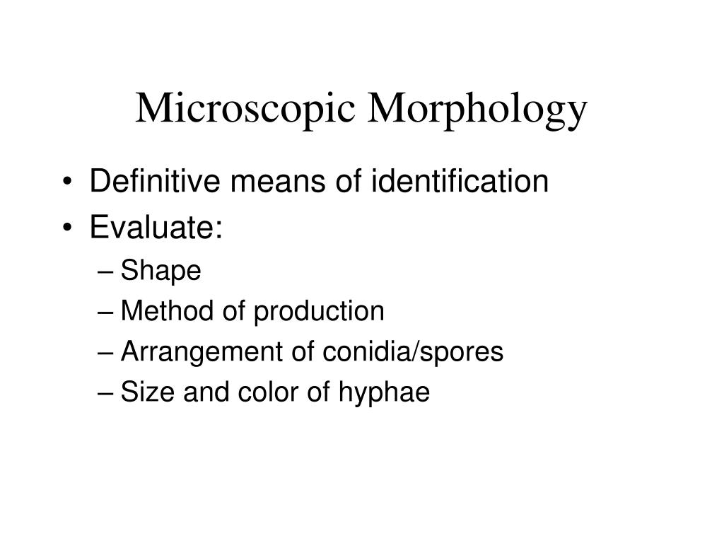 PPT Mycology Introduction PowerPoint Presentation