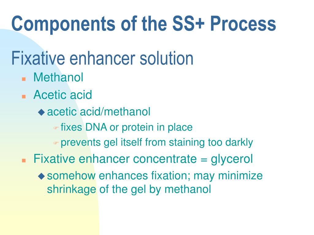 PPT Silver Staining PowerPoint Presentation, free download ID6685211