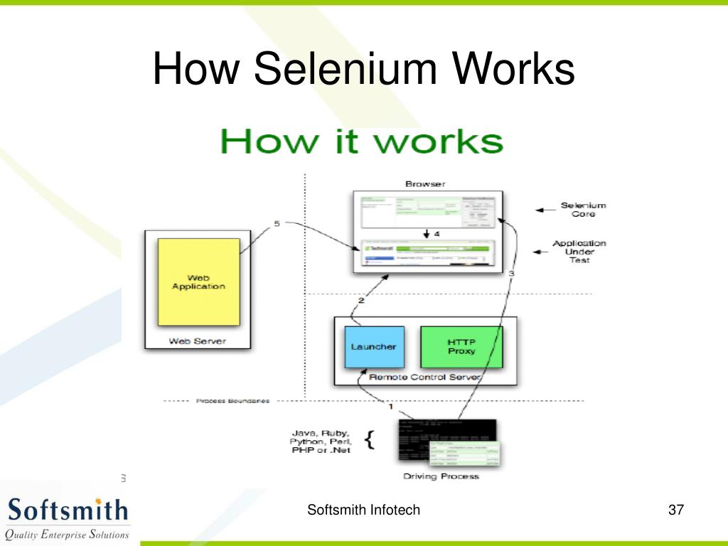 PPT Test Automation Using Selenium PowerPoint Presentation, free download ID6687384