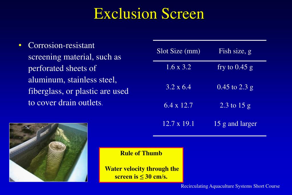 PPT Culture Tank Design PowerPoint Presentation, free download ID