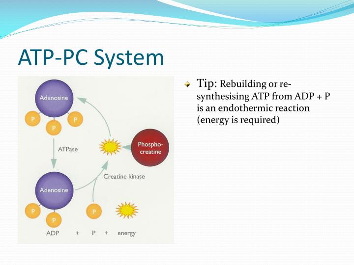 PPT Energy systems PowerPoint Presentation ID6692602