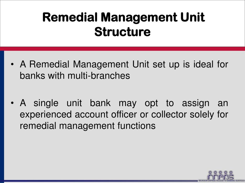 PPT Management of Hardcore Delinquent Accounts PowerPoint