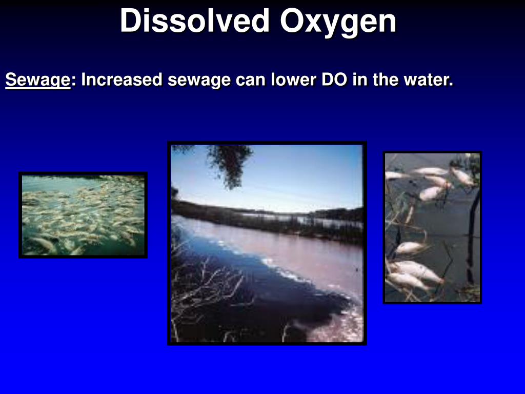 PPT Dissolved Oxygen PowerPoint Presentation, free download ID6696416