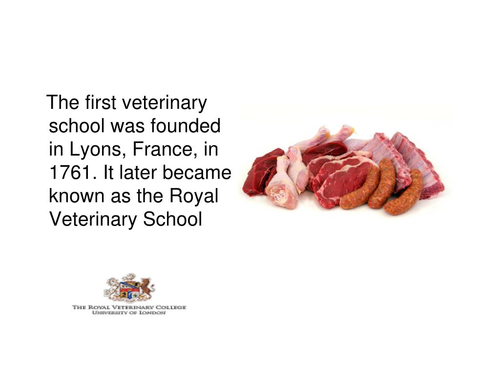 PPT History of Veterinary Medicine PowerPoint Presentation, free