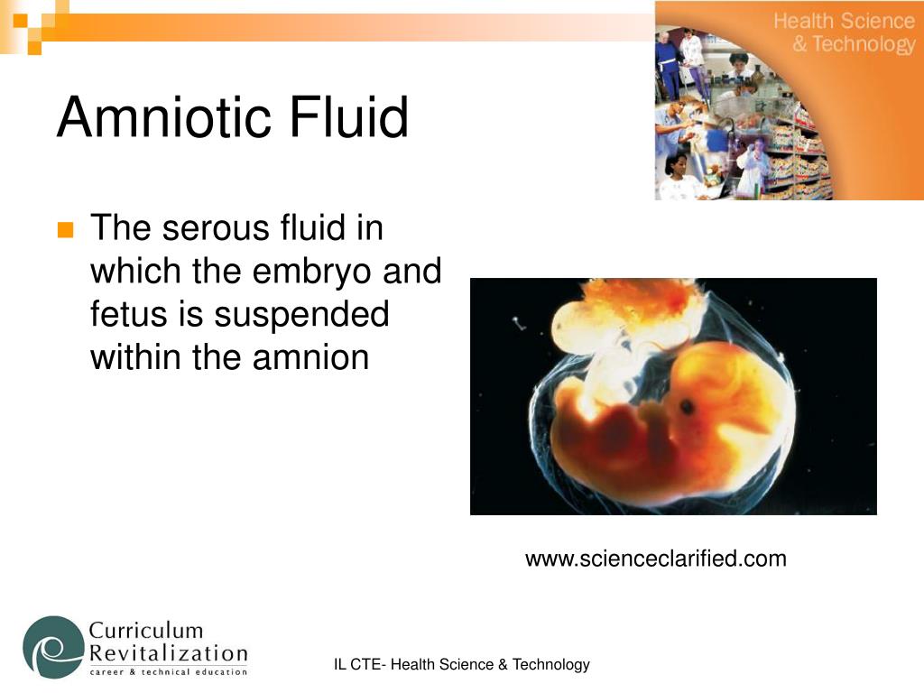 PPT Standard Precautions Who, What, When, Where, & Why PowerPoint