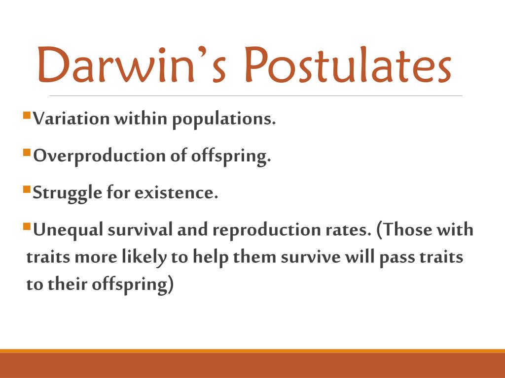 PPT Natural Selection PowerPoint Presentation, free download ID6700679