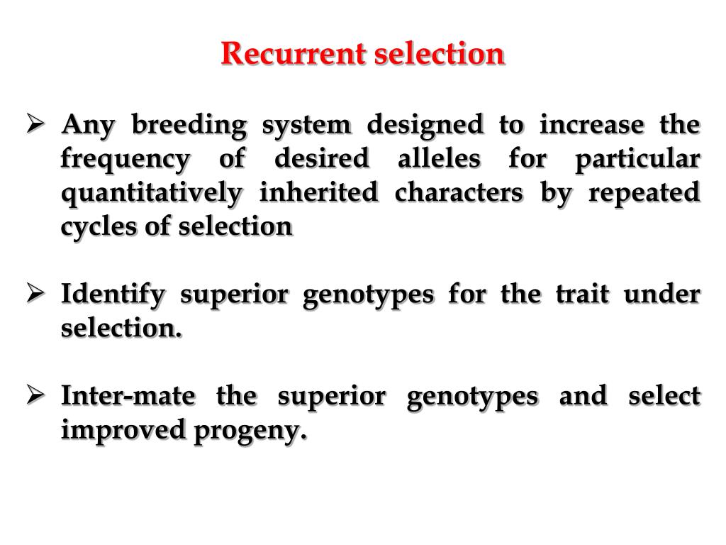 PPT Breeding crosspollinated crops PowerPoint Presentation, free