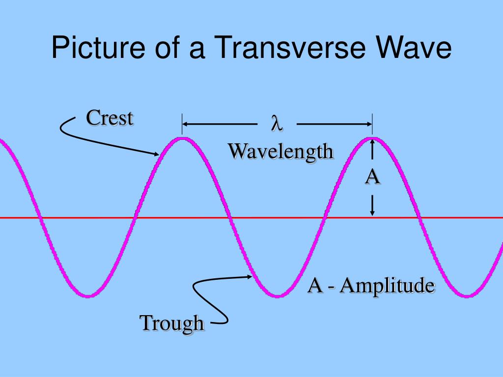 PPT Sine Curve PowerPoint Presentation, free download