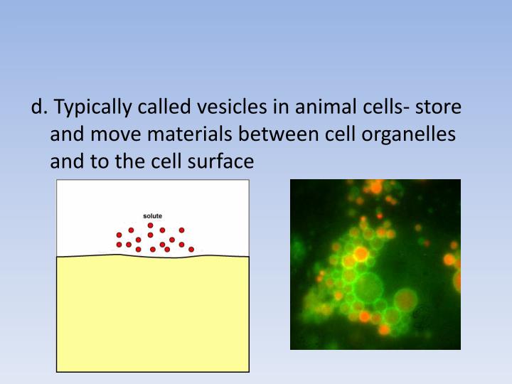 PPT Chapter 7 Cell Structure and Function PowerPoint