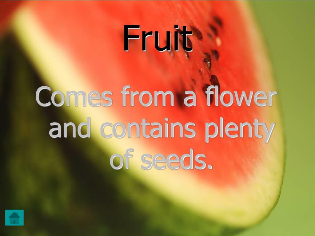 PPT Plants Fourth Grade Unit PowerPoint Presentation, free download