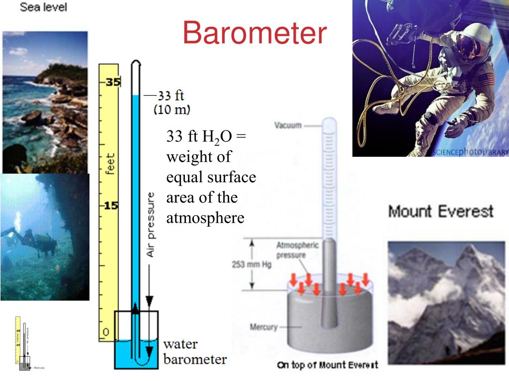 PPT Unit 6 Gases & The Molecular Theory PowerPoint