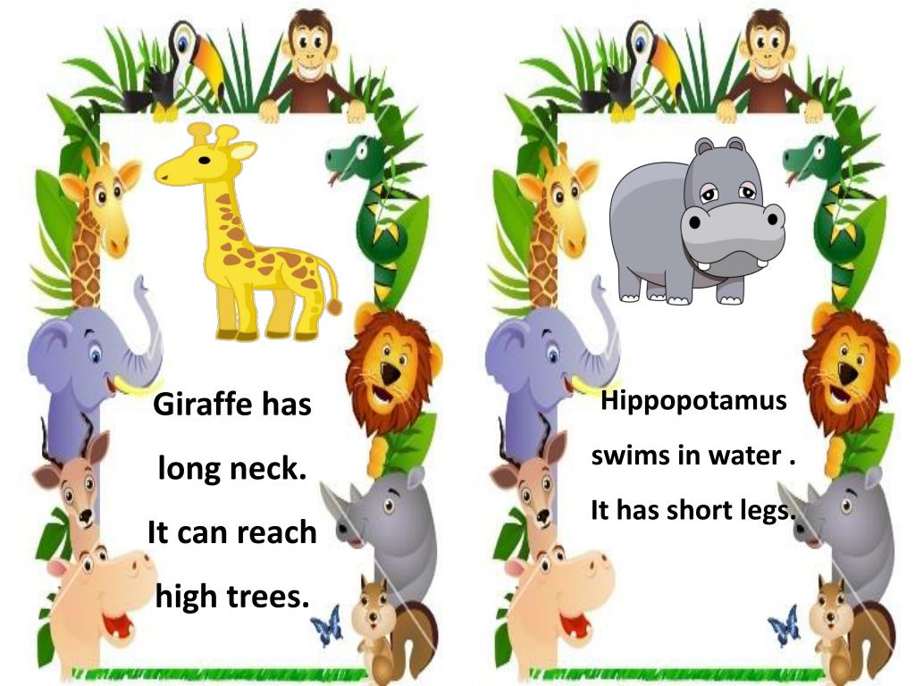 PPT Animals PowerPoint Presentation, free download ID6721494