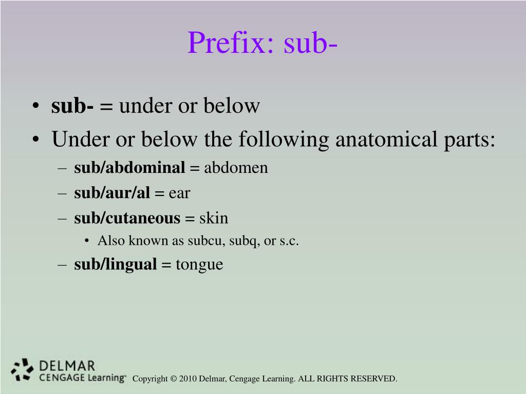 PPT Unit 11 PowerPoint Presentation, free download ID6722710