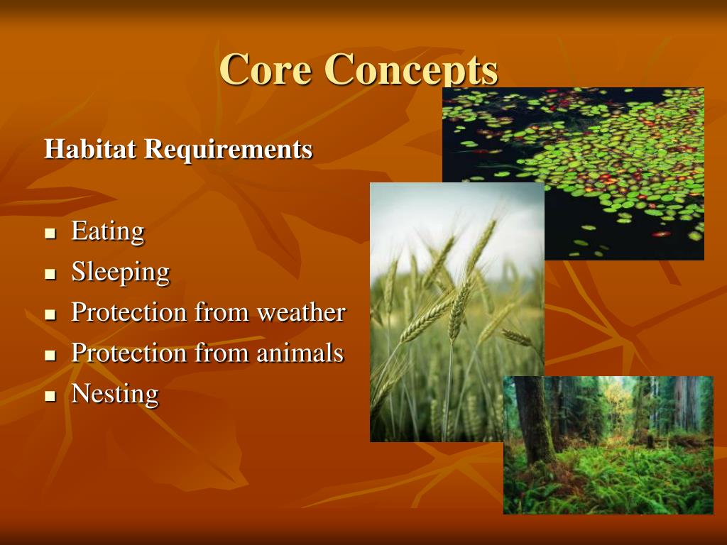 PPT Wildlife Habitat Evaluation Program PowerPoint Presentation, free