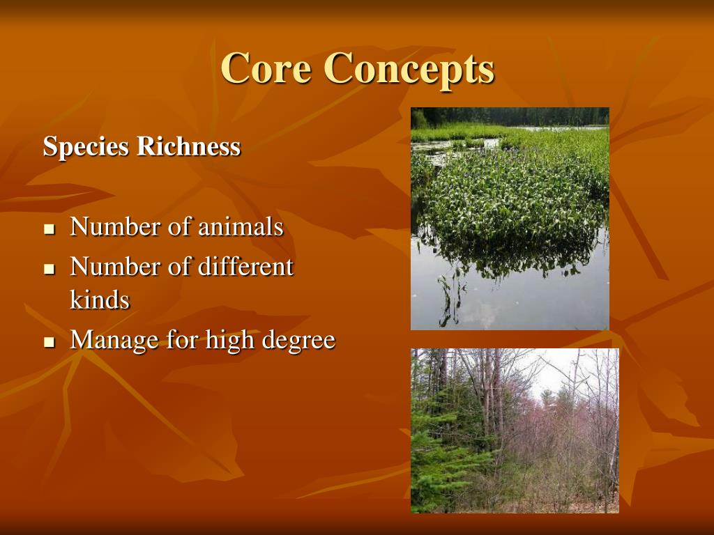 PPT Wildlife Habitat Evaluation Program PowerPoint Presentation, free