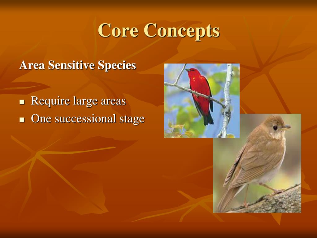 PPT Wildlife Habitat Evaluation Program PowerPoint Presentation, free