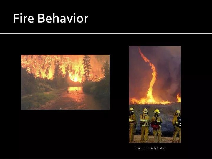 PPT Fire Behavior PowerPoint Presentation, free download ID6722988