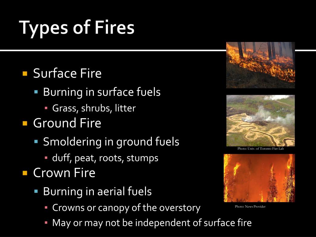 PPT Fire Behavior PowerPoint Presentation, free download ID6722988