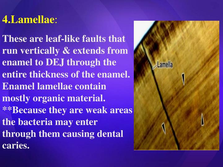 PPT TOOTH ENAMEL PowerPoint Presentation ID6725407