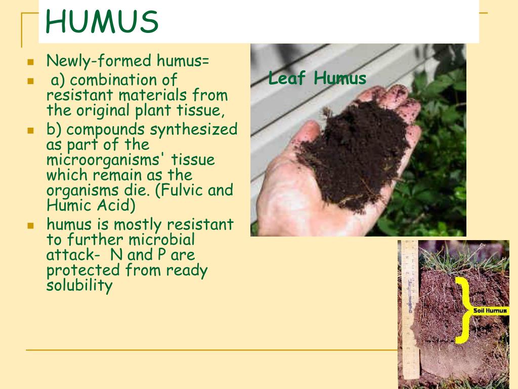 PPT Lecture 10 a Soil Organic Matter = SOM PowerPoint Presentation
