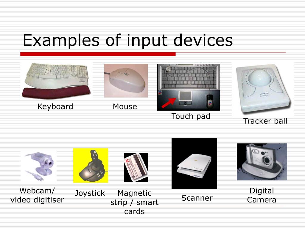 Computer Input Devices Examples