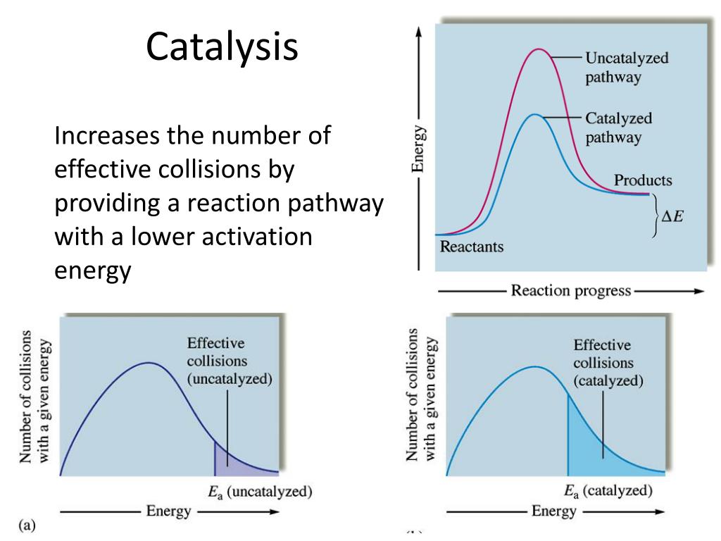 PPT Chapter 12 Chemical PowerPoint Presentation, free