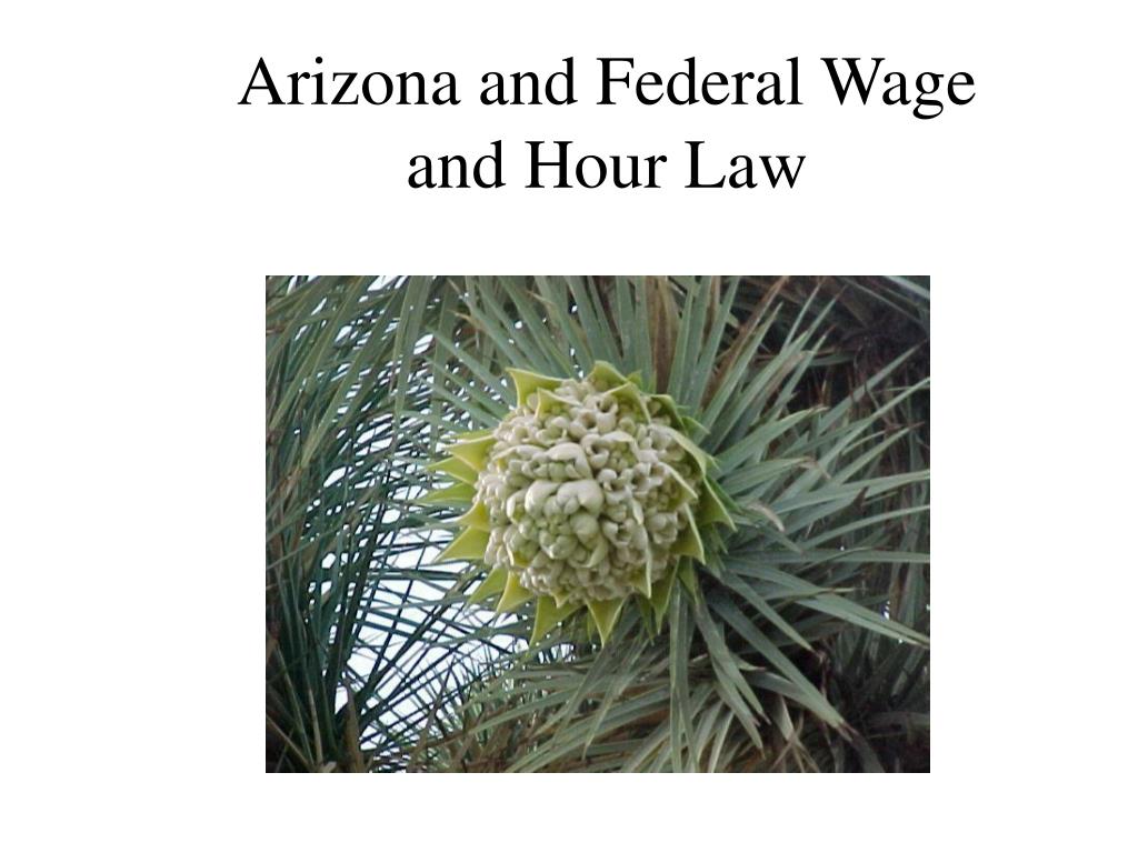 PPT HR 201 Beyond HR Boot Camp PowerPoint Presentation, free