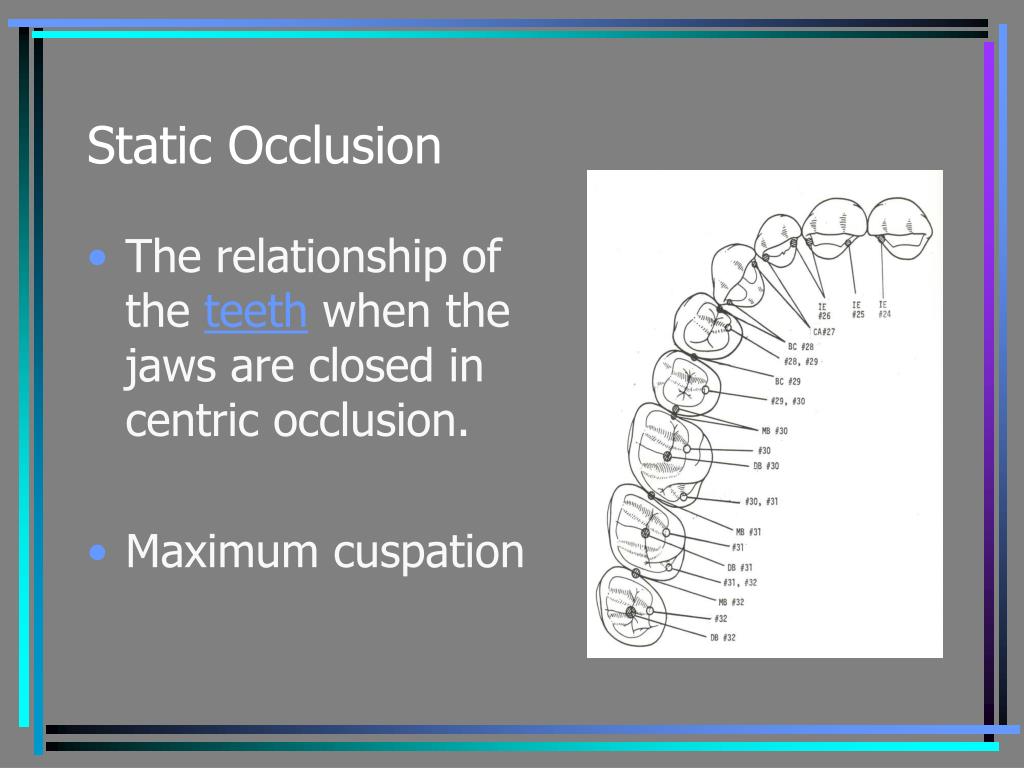 PPT Occlusion PowerPoint Presentation, free download ID6736052
