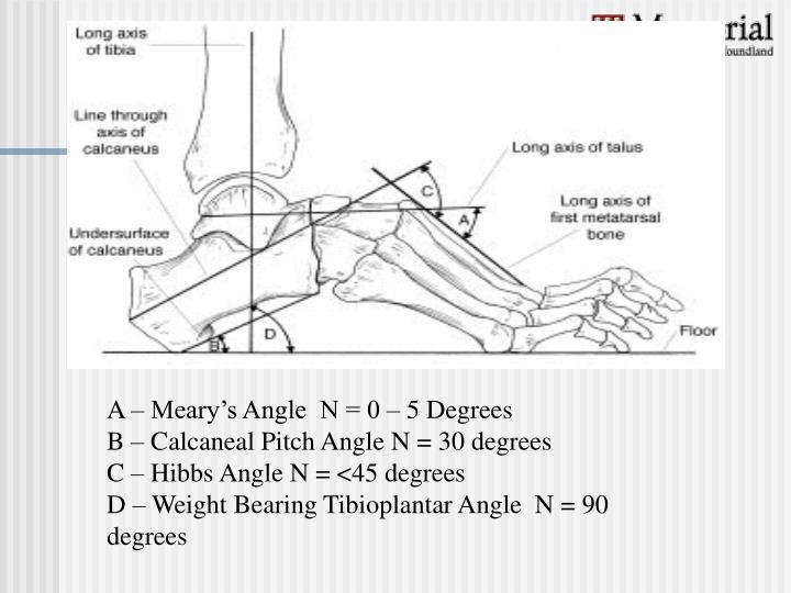 PPT Cavus Foot PowerPoint Presentation ID6739498