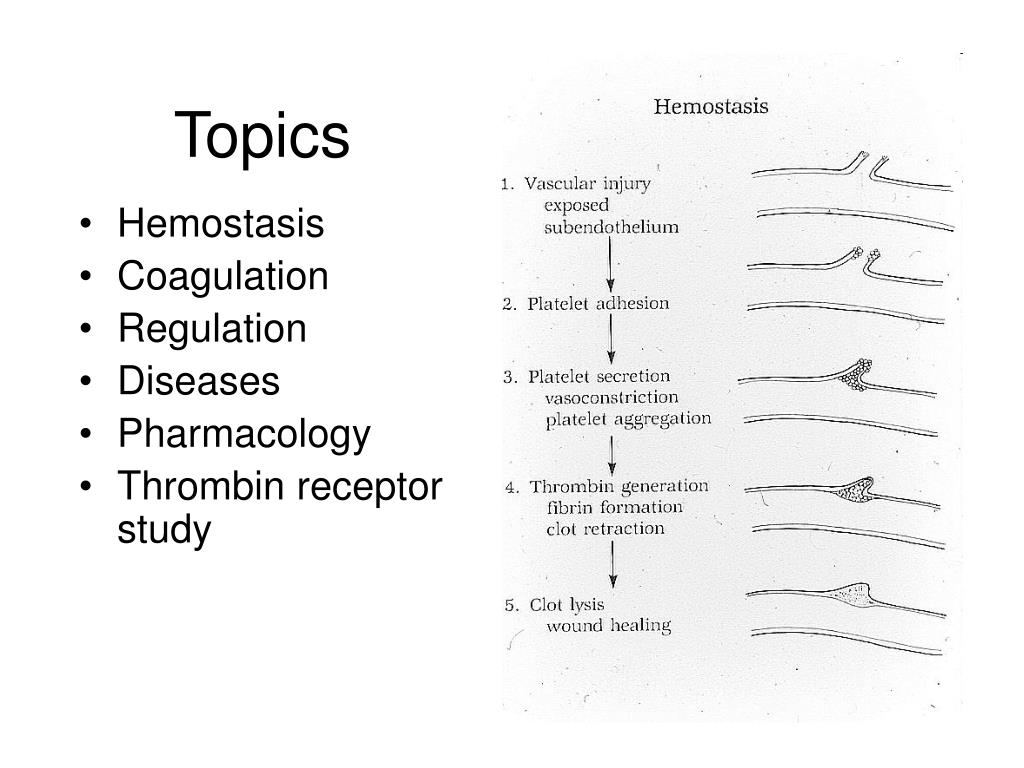 PPT Hemostasis /Coagulation PowerPoint Presentation, free download