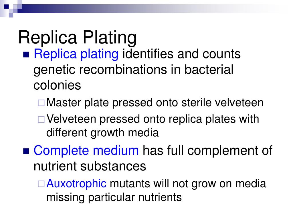 PPT PCR, Viral and Bacterial PowerPoint Presentation, free