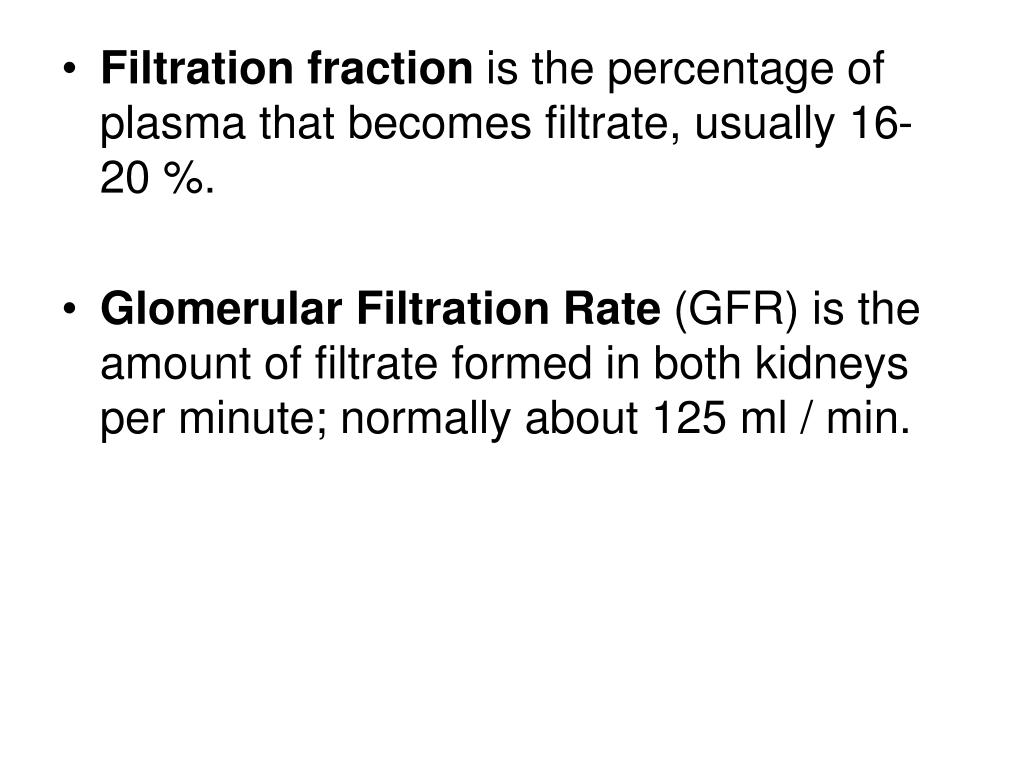 PPT Urinary System PowerPoint Presentation, free download ID6747251