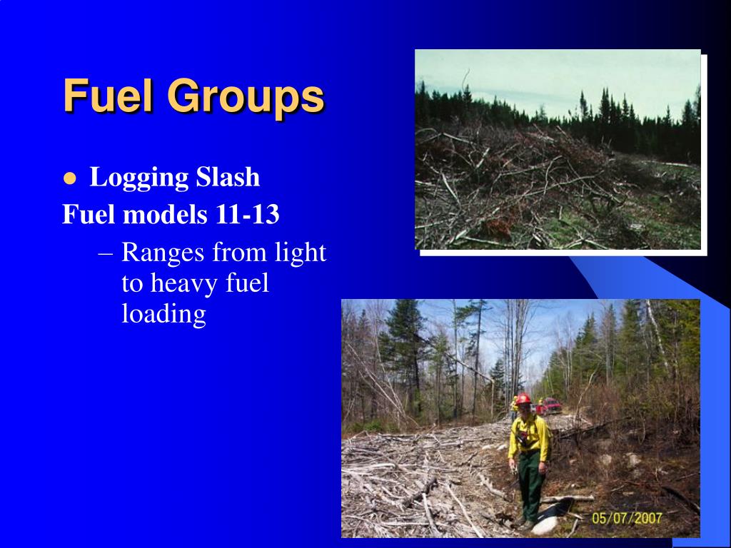 PPT WILDLAND ENGINE OPERATIONS PART 2 Tactics PowerPoint